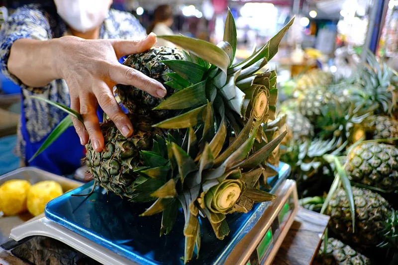 I Reviewed My Suburb's Grocery Stores Like Theme Parks and One of Them Got a 'FastPass'